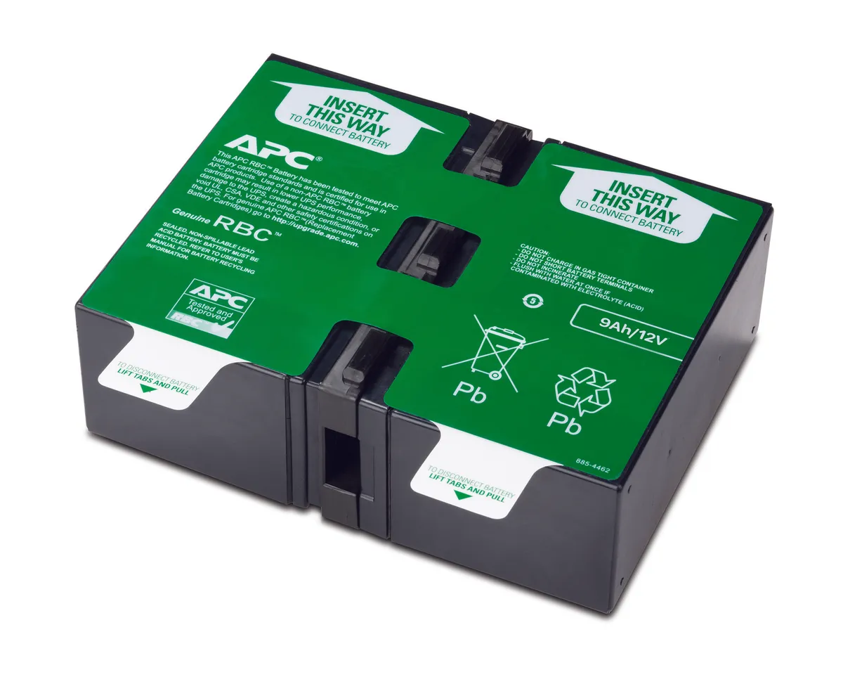 UPS APC Back-UPS RS 1500VA cu afișaj LCD și 4 prize Schuko