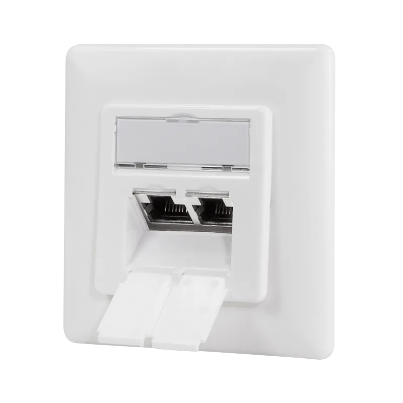 Priază RJ-45 aplicabilă Logilink Cat6A cu doi conectori mascul albi