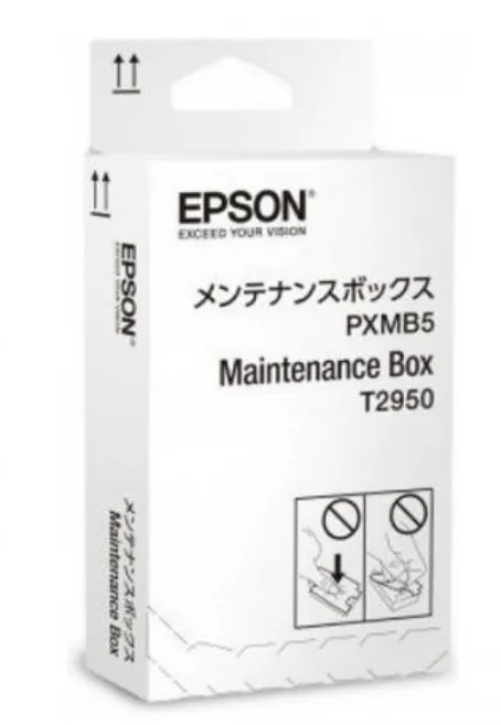 Kit mentenanță original Epson T2950 pentru imprimanta WorkForce WF-100
