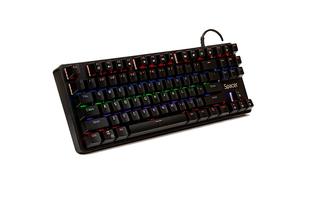 Tastatura mecanica Spacer Immortal USB cu switch-uri albastre, 87 taste